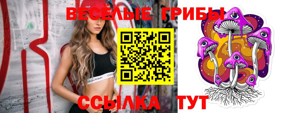 Галлюциногенные грибы Psilocybine cubensis  Вход с VPN  Серов 